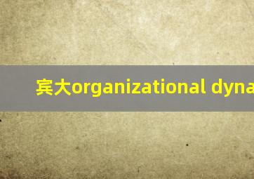 宾大organizational dynamics